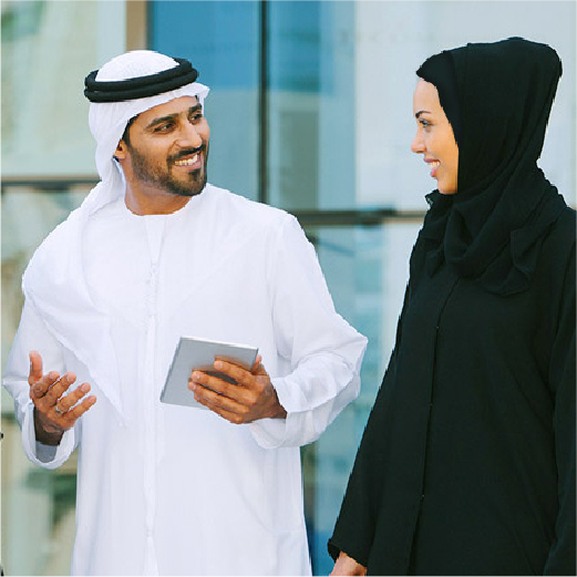 emiritization program 520x520-01
